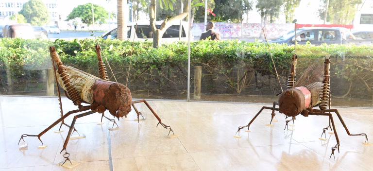 Exposição “Arte & Sustentabilidade” apresenta obras do artista Rui Paulino