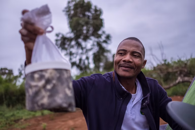 Dia Mundial do Mosquito: CISM destaca importância da vigilância vectorial em Moçambique
